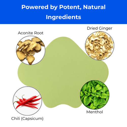 Sciatica Back Pain Relief Patches